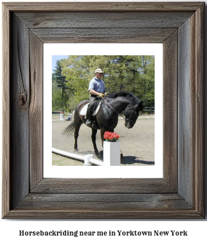 horseback riding near me in Yorktown, New York